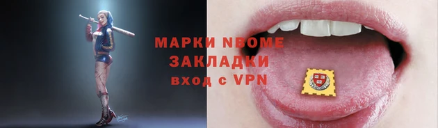 стафф Алзамай