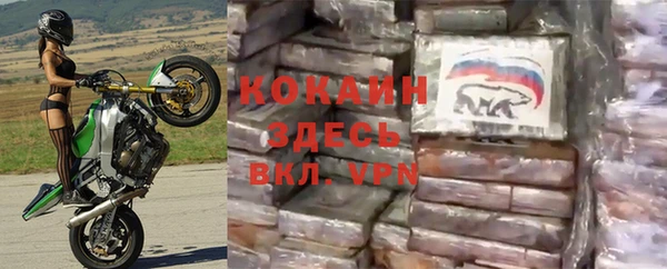 стафф Алзамай