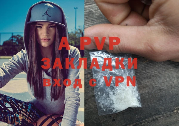 стафф Алзамай