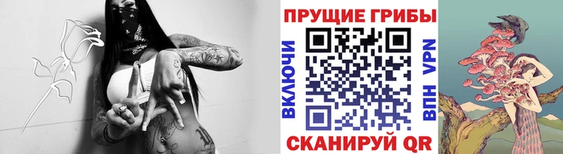 Псилоцибиновые грибы мицелий  Починок 